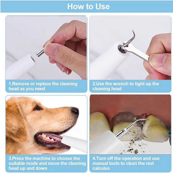 Nettoyant facile pour les dents des chiens