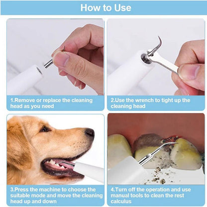 Nettoyant facile pour les dents des chiens