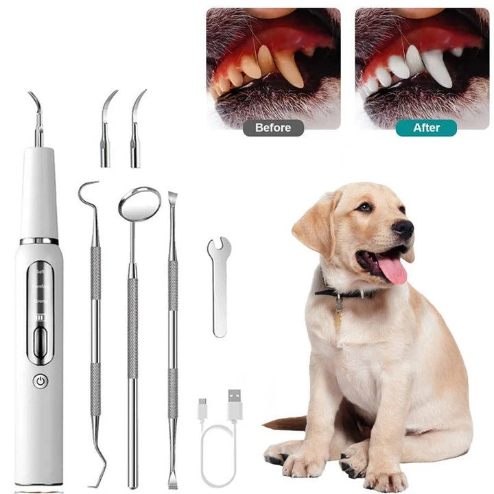 Nettoyant facile pour les dents des chiens