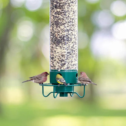 Mangeoire à oiseaux sauvage avec tube en plastique transparent