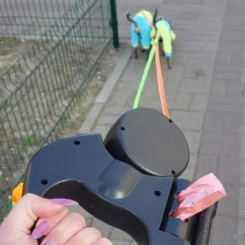 Laisse double clignotante à LED pour chien