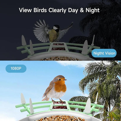 Mangeoire intelligente pour oiseaux avec caméra Wi-Fi