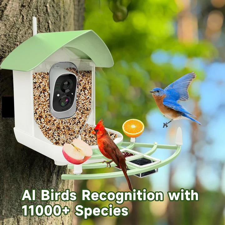 Mangeoire intelligente pour oiseaux avec caméra Wi-Fi