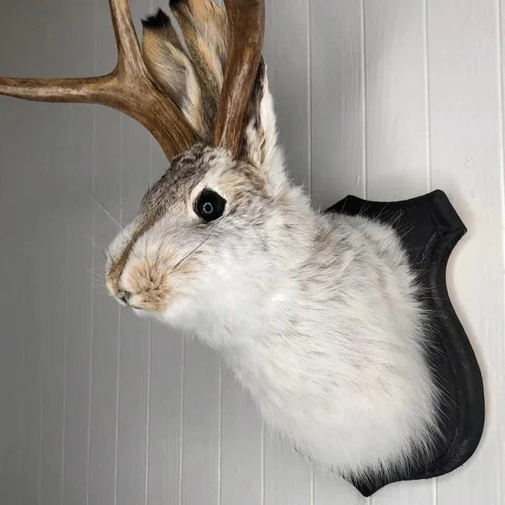 Décoration murale décorative en bois Jackalope