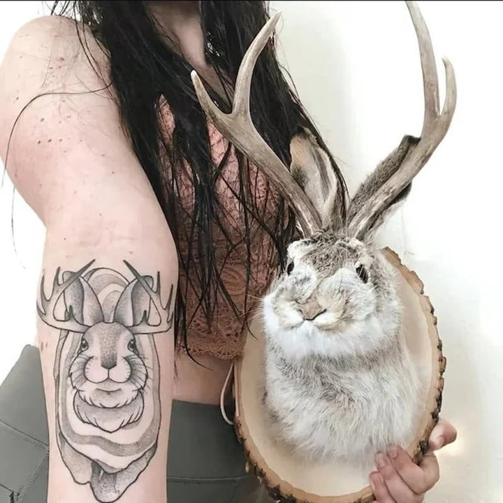 Décoration murale décorative en bois Jackalope