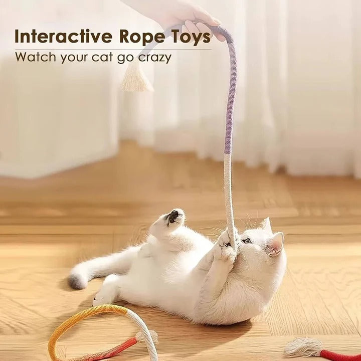 Ensemble de jouets amusants pour chat avec balles froissées et corde