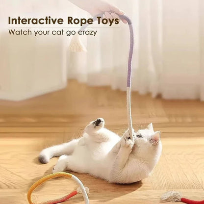 Ensemble de jouets amusants pour chat avec balles froissées et corde