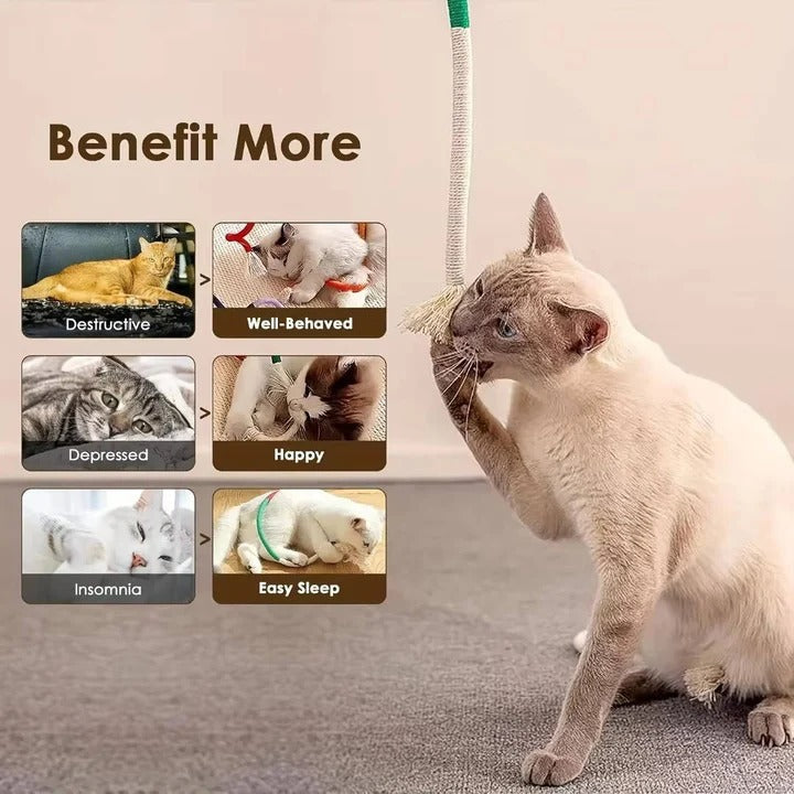 Ensemble de jouets amusants pour chat avec balles froissées et corde