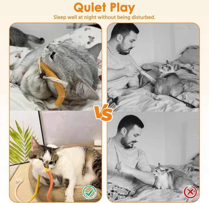 Ensemble de jouets amusants pour chat avec balles froissées et corde