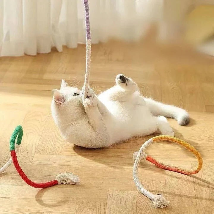 Ensemble de jouets amusants pour chat avec balles froissées et corde