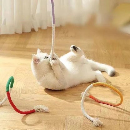 Ensemble de jouets amusants pour chat avec balles froissées et corde