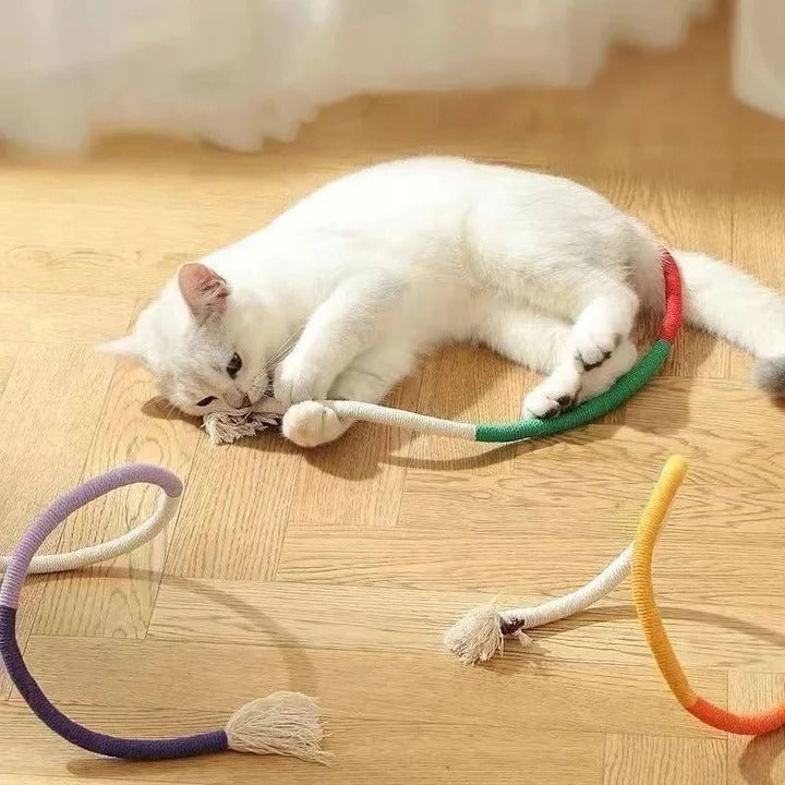 Ensemble de jouets amusants pour chat avec balles froissées et corde