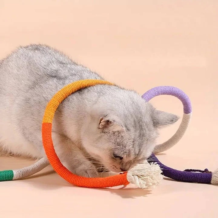 Ensemble de jouets amusants pour chat avec balles froissées et corde