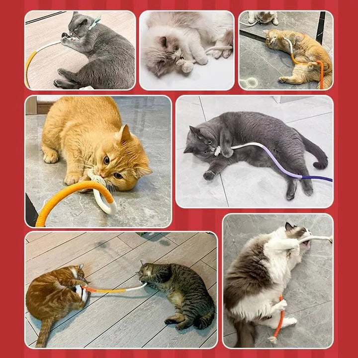 Ensemble de jouets amusants pour chat avec balles froissées et corde