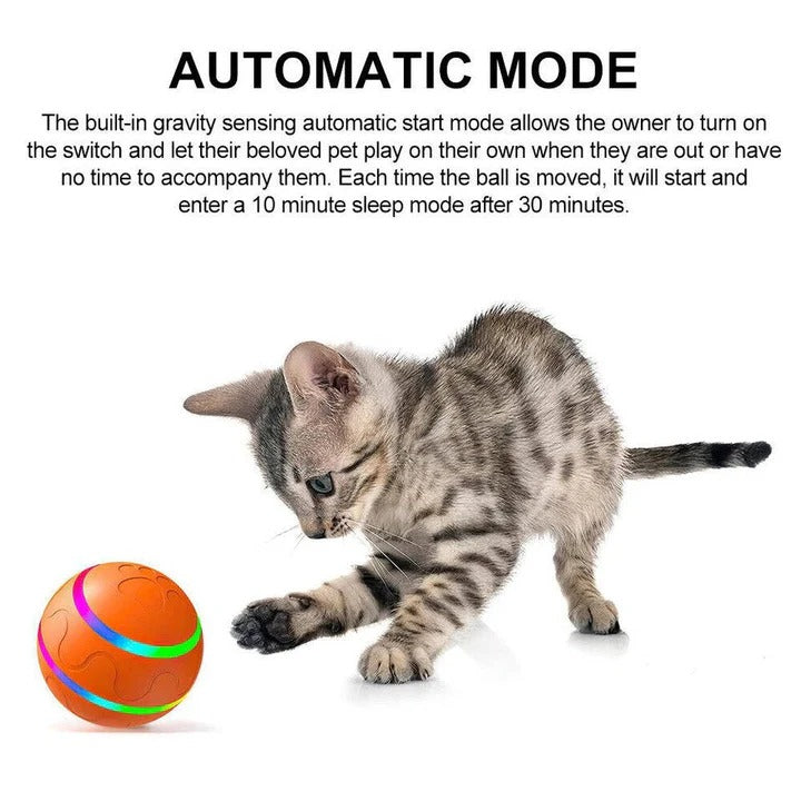 Jouet amusant pour animaux de compagnie avec mouvement intégré