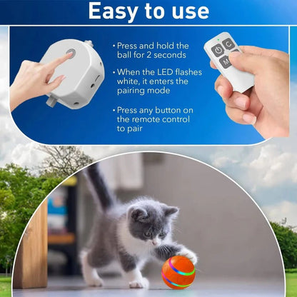 Jouet amusant pour animaux de compagnie avec mouvement intégré