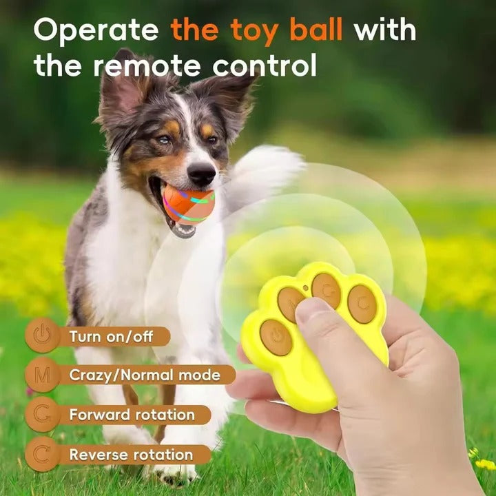 Jouet amusant pour animaux de compagnie avec mouvement intégré