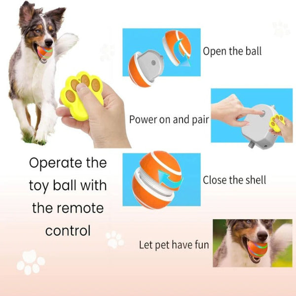 Jouet amusant pour animaux de compagnie avec mouvement intégré