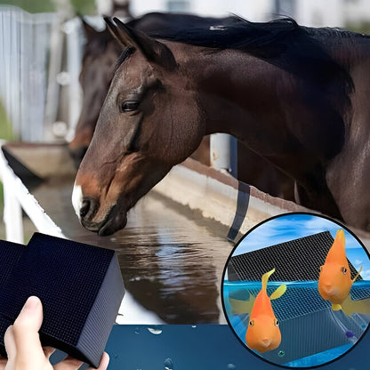 Bloc Purificateur d'Eau à Filtre Naturel pour Aquariums