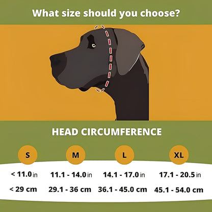 Cache-oreilles pour animaux de compagnie confortables, bandeau ajustable pour chien