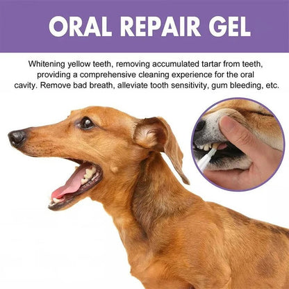 Gel dentaire naturel pour chien pour des dents et des gencives saines