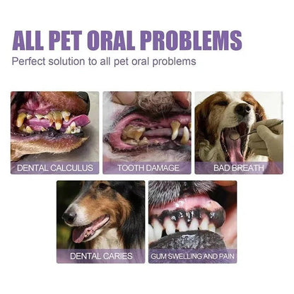 Gel dentaire naturel pour chien pour des dents et des gencives saines