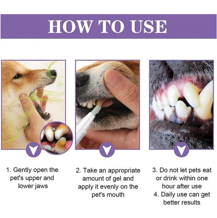 Gel dentaire naturel pour chien pour des dents et des gencives saines