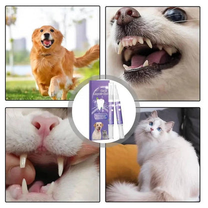Gel dentaire naturel pour chien pour des dents et des gencives saines