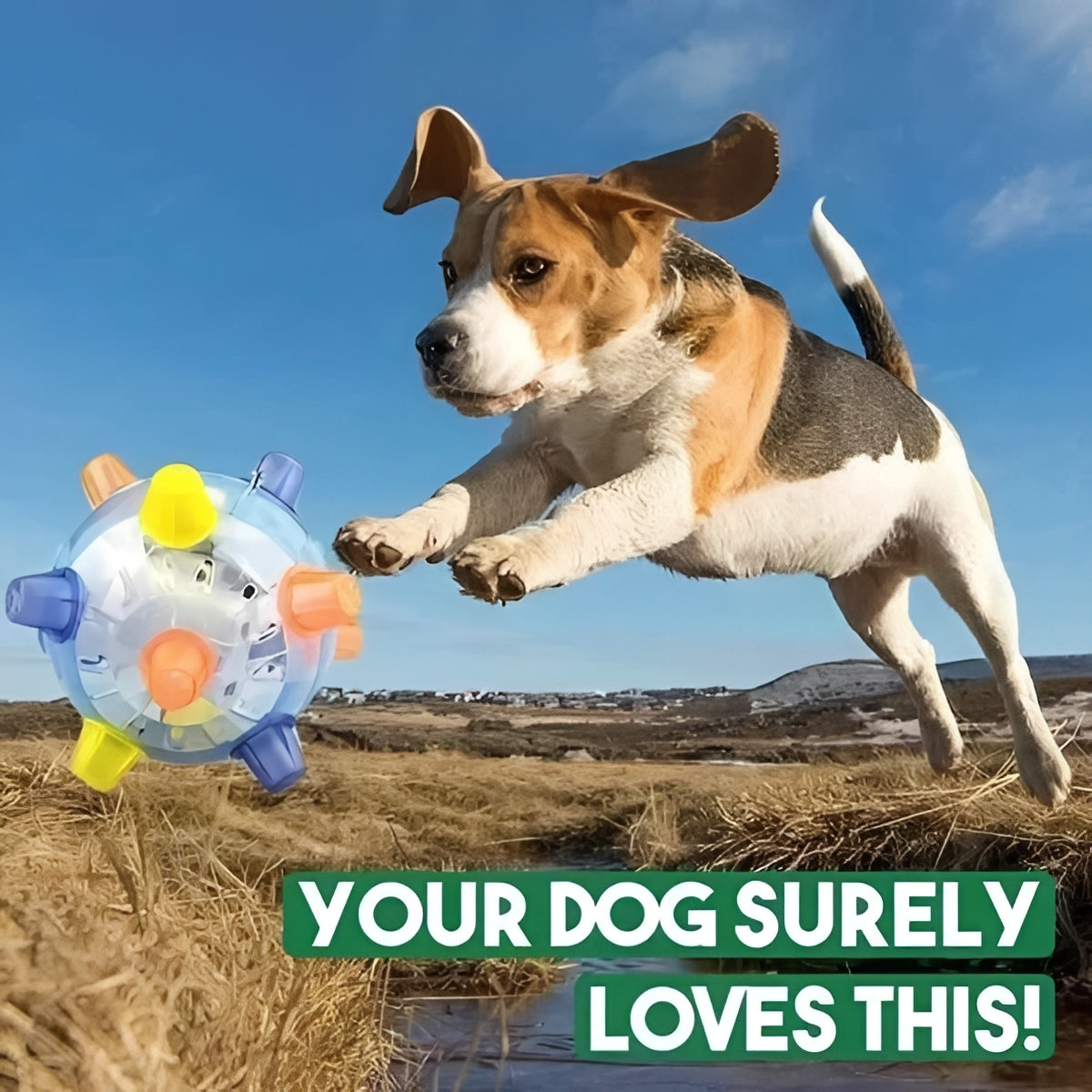 Balle Jouet Interactive Amusante pour Chien