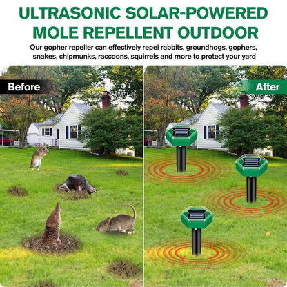 Répulsif Solaire pour Nuisibles d'Extérieur, Lot de 4