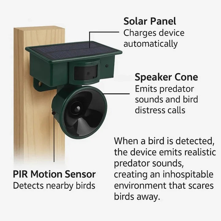 Système répulsif d'oiseaux automatique avec détecteur de mouvement