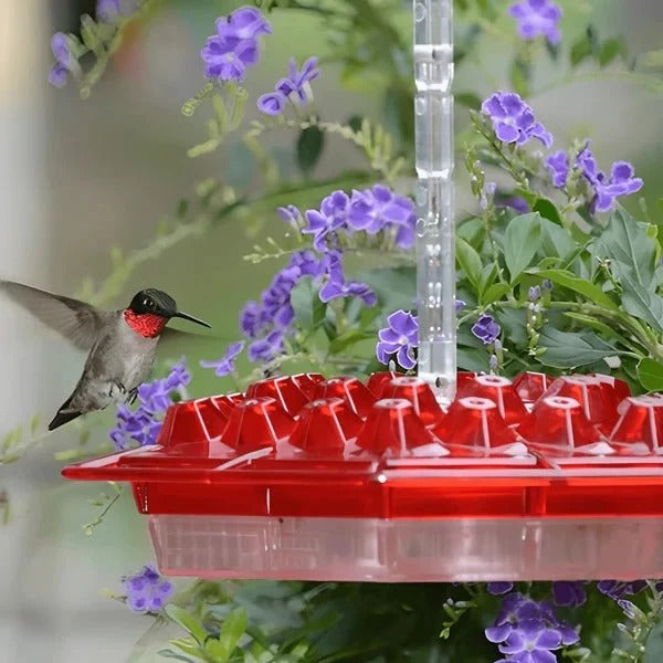 Mangeoire à oiseaux colorée avec piège à fourmis intégré