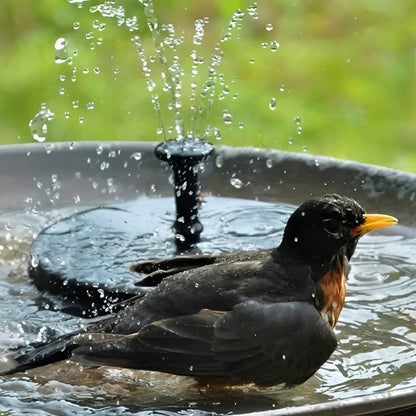 Fontaine d'eau solaire pour bassins extérieurs et oiseaux