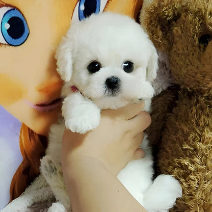 Soft Cuddly Dog Toy with Faux Fur Outside - Ortekor