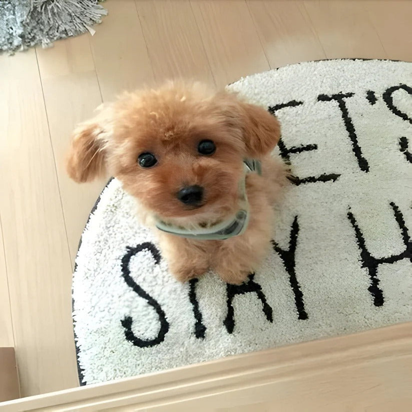Jouet pour chien doux et câlin avec extérieur en fausse fourrure