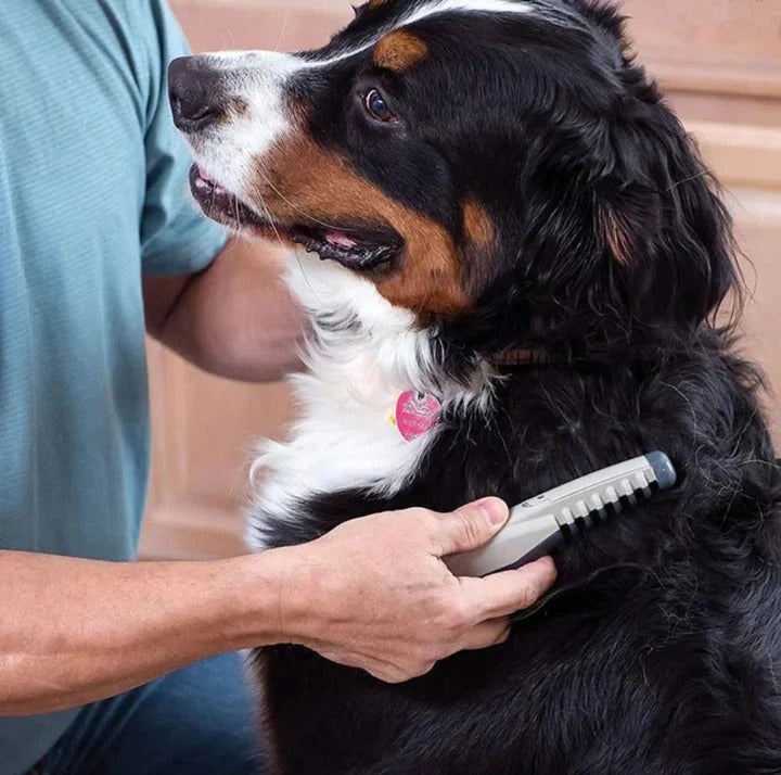 Outil de brosse démêlante facile pour animaux de compagnie
