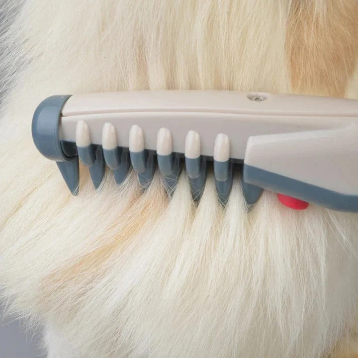 Outil de brosse démêlante facile pour animaux de compagnie