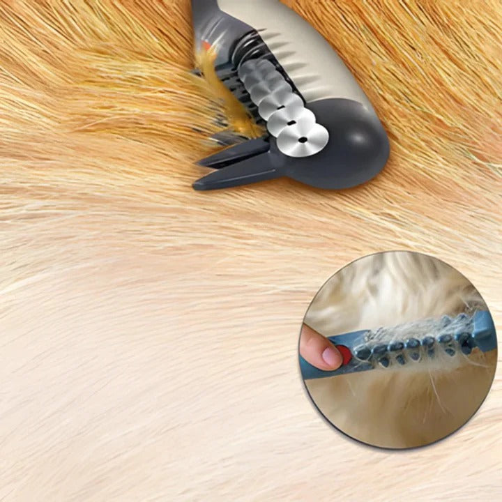 Outil de brosse démêlante facile pour animaux de compagnie
