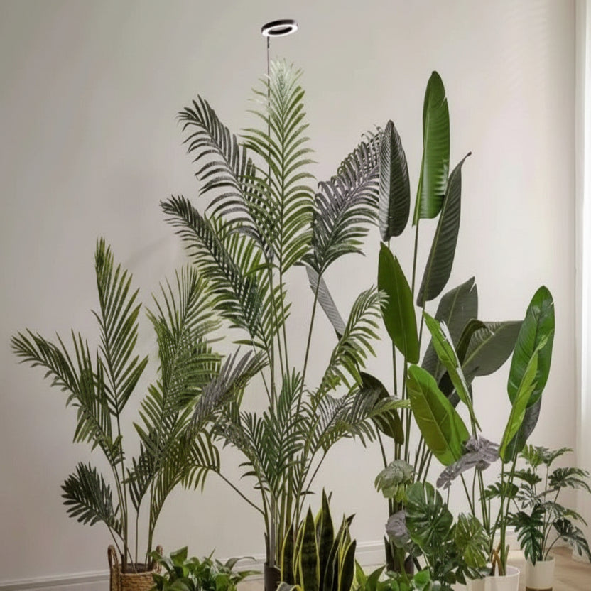 Lampe de croissance LED réglable pour plantes d'intérieur avec minuterie
