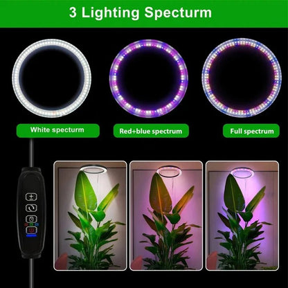 Lampe de croissance LED réglable pour plantes d'intérieur avec minuterie