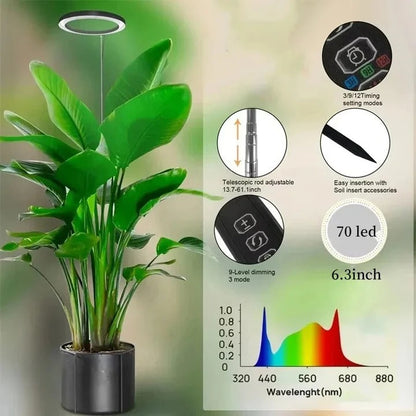 Lampe de croissance LED réglable pour plantes d'intérieur avec minuterie