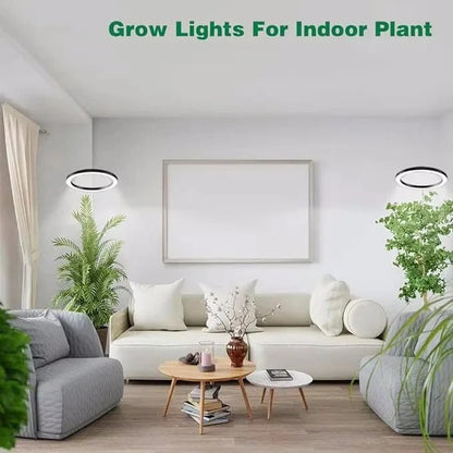 Lampe de croissance LED réglable pour plantes d'intérieur avec minuterie