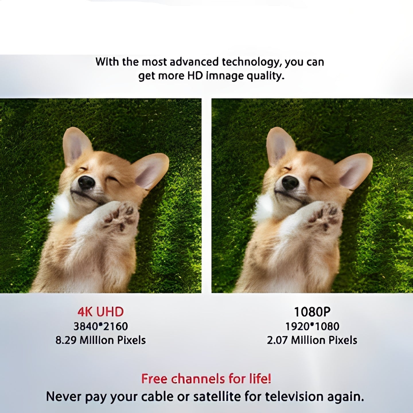 Antenne intérieure TV HD avec signal UHF et VHF