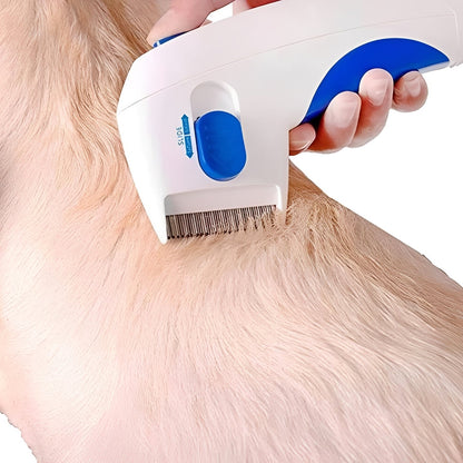 Outil électrique anti-puces et tiques pour animaux de compagnie