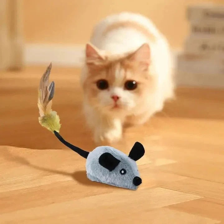 Jouet interactif LED pour chat pour animaux de compagnie d'intérieur