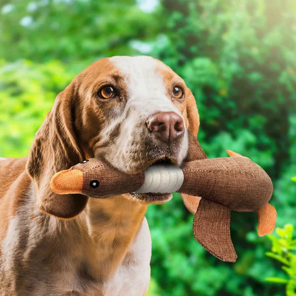 Jouet en peluche résistant et jouet à mâcher durable pour animaux de compagnie