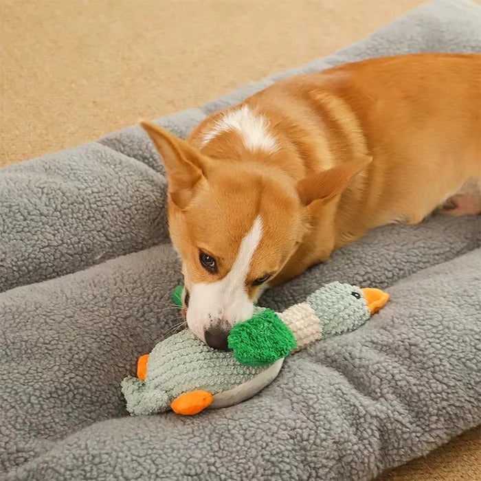 Jouet en peluche résistant et jouet à mâcher durable pour animaux de compagnie
