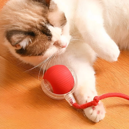 Jouet interactif roulant pour animaux de compagnie avec plumeau