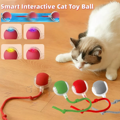 Jouet interactif roulant pour animaux de compagnie avec plumeau