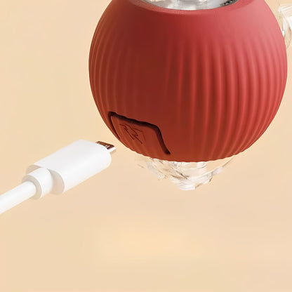 Jouet interactif roulant pour animaux de compagnie avec plumeau